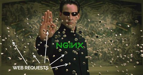 oginx fund.
